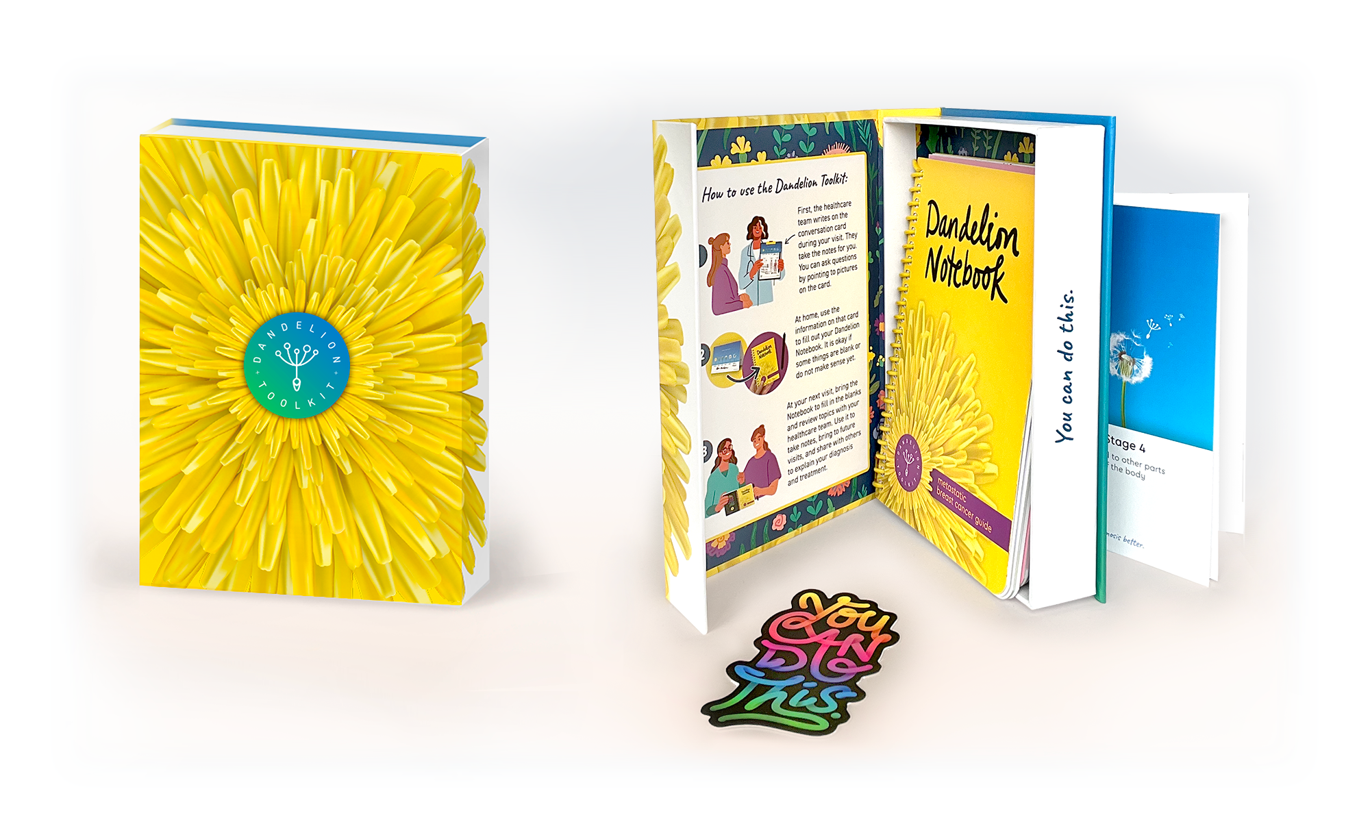 The Dandelion Toolkit box, Conversation Cards, and Navigation Notebook